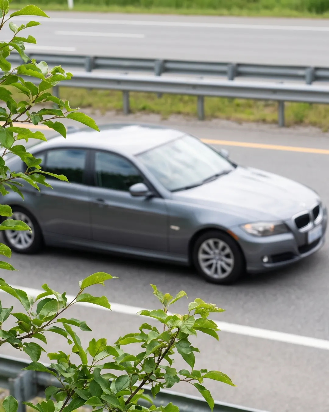 A car driving on a highway, viewed through tree branches